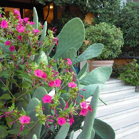 Hotel Il Casale 3*